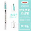 派通彩色双头柔绘笔SESW30C-T134 商品缩略图0