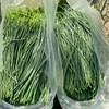 甘肃民勤沙葱 | 沙漠里的“翡翠鲜蔬” !一口脆嫩，满嘴清香 ! 葱味十足色泽深绿,凉拌开胃入馅提香! 商品缩略图3