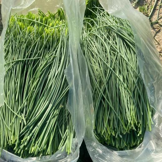 甘肃民勤沙葱 | 沙漠里的“翡翠鲜蔬” !一口脆嫩，满嘴清香 ! 葱味十足色泽深绿,凉拌开胃入馅提香! 商品图3
