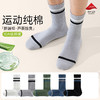 【云上泰富】&【壹半麦合】双杠条纹运动男袜 吊牌价:149元 活动价:39元 商品缩略图3