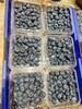 宏丰精选  云南纯甜蓝莓，果粉足，纯甜，活动价9.9一盒 商品缩略图0