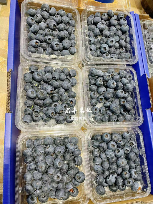 宏丰精选  云南纯甜蓝莓，果粉足，纯甜，活动价9.9一盒 商品图0