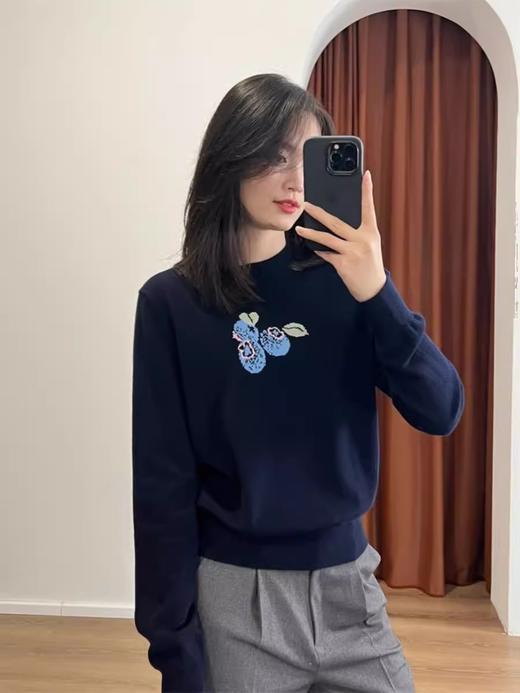 鄂*蓝莓刺绣藏蓝开衫/套头衫 商品图11