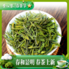 黄红缨瓮安白茶春茶贵州绿茶铁盒装108g办公口粮茶 商品缩略图2