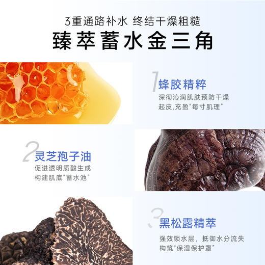 【官方】伊贝诗深海凝萃弹润嫩肤精华乳补水保湿乳液护肤品官方正品女 商品图4