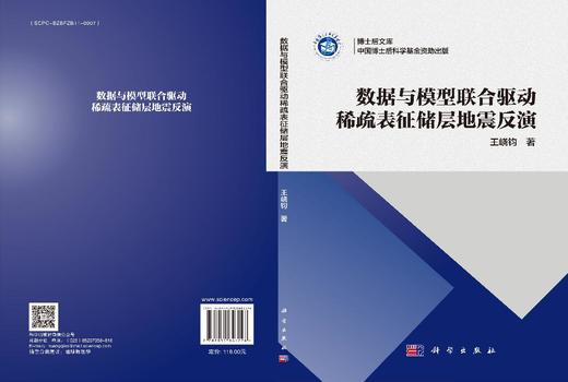 数据与模型联合驱动稀疏表征储层地震反演 商品图3