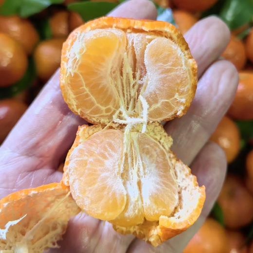 家庭装～广西荔浦砂糖橘【净重约5斤】：颗颗精选，树上自然成熟果	，全程农家肥，风味浓郁！ 商品图2