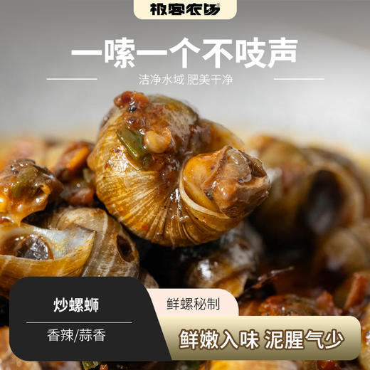 炒螺蛳| 产地：洪湖，香辣和蒜香两种口味，诱人香辣，蒜香十足，人工养殖，水质优良，肉质紧实鲜味足⭐️顺丰冷链 商品图0