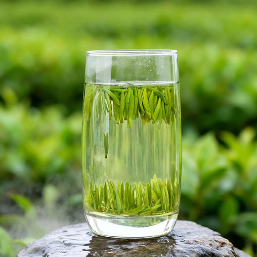 川红 2026新茶雀舌60g 买2盒送手提袋 商品图5