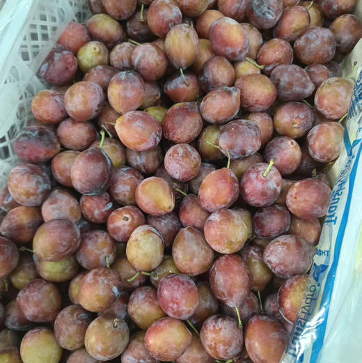 【瘦身季西梅来啦】活动爆款回馈，醇甜可口，越放越甜越好吃的那种，实惠性价比果粉足水分高，瘦身好果，芳香甜美！ 商品图3