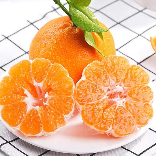 心选丨四川春见耙耙柑新鲜水果产地直发 商品图3