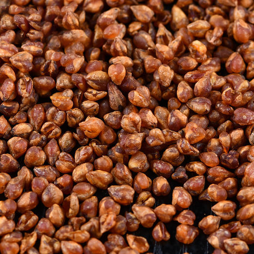 【买1送1】四川大凉山黑苦荞茶 250g/罐 商品图1