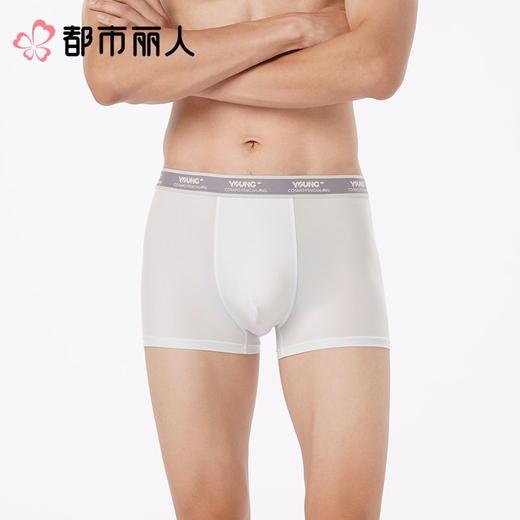 都市丽人内裤男士内裤冰丝内裤锦纶平角内裤明筋内裤FKCG02 商品图1