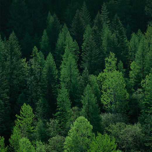 【50积分+14.9元】柚家 乳霜柔润纸面巾 100抽*4包/箱 柔韧不易破 商品图3