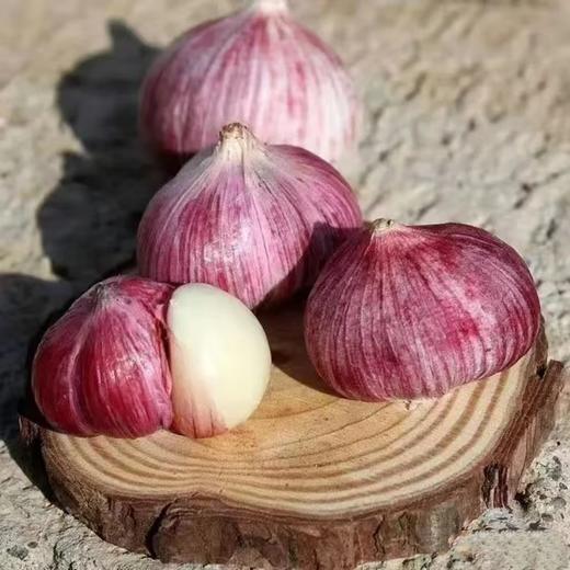 【产地直发】云南独头鲜蒜！每一个都是鸡蛋大小，又大又香又新鲜‼️每天三瓣蒜，大病好一半！高原来的紫皮蒜，香辣不一般！ 商品图11