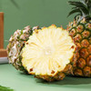 云南版纳香水大凤梨香味浓郁酸甜多汁云南特产水润细腻肉质脆嫩 商品缩略图2