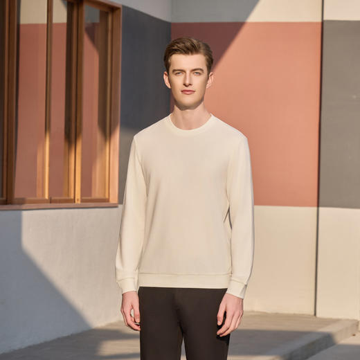 半身缘男装 春季天丝棉提花休闲圆领卫衣T恤261312M01110216 商品图3