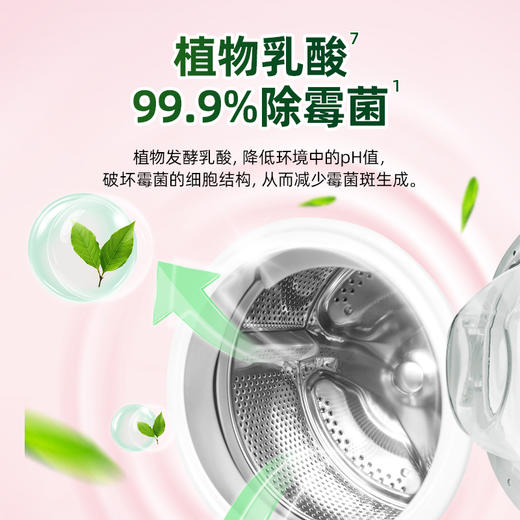 『洗衣机清洁消毒液』洗衣机深层清洁除菌除螨防霉免浸泡免拆除 商品图2