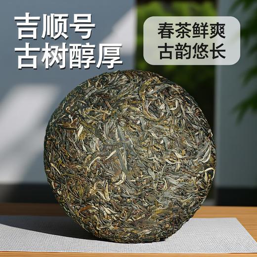 2026年春茶预售 吉顺号古300系列那卡古树普洱生茶饼 商品图3