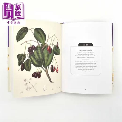 预售 【中商原版】水果 英国皇家植物园口袋书系 Kew Pocketbooks Fruit 英文原版 Royal Botanic Gardens 邱园自然百科 商品图3