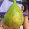 蜜的流油！软糯香甜，花觅无花果，今年大受欢迎的无花果品种，入口绵密鲜甜，刷新我这个老水果人对无花果的认知！太赞！！ 商品缩略图1