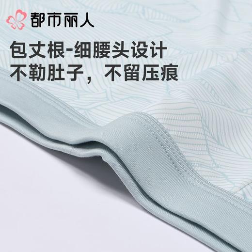 都市丽人内裤男士内裤冰丝内裤锦纶平角内裤氨纶头内裤FKCC07 商品图4