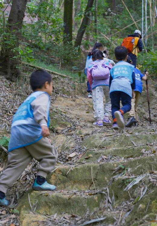 （黄埔）山野徒步挖水晶1日独立营 商品图5