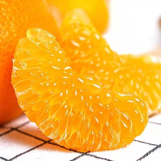 心选丨四川春见耙耙柑新鲜水果产地直发 商品图4