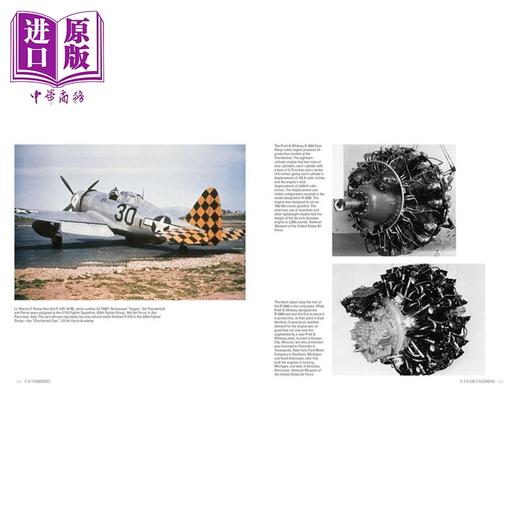 预售 【中商原版】P 47 雷电 战斗机 英文原版 P 47 Thunderbolt Republics Mighty Jug in World War II David Doyle 商品图3