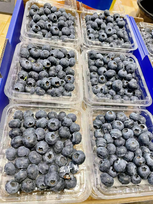 宏丰精选  云南纯甜蓝莓，果粉足，纯甜，活动价9.9一盒 商品图1