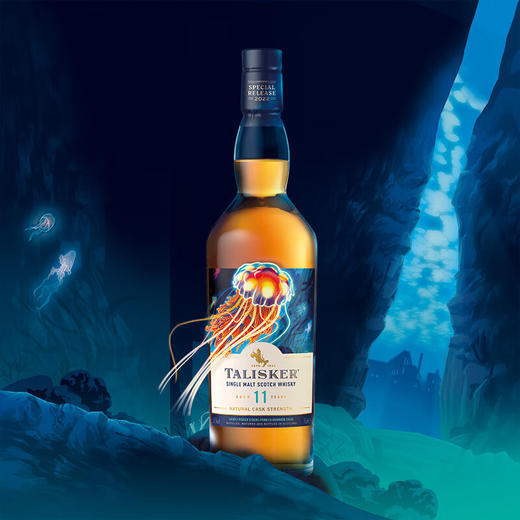 泰斯卡 11年单一麦芽威士忌·2022珍藏限量系列700ml 商品图2