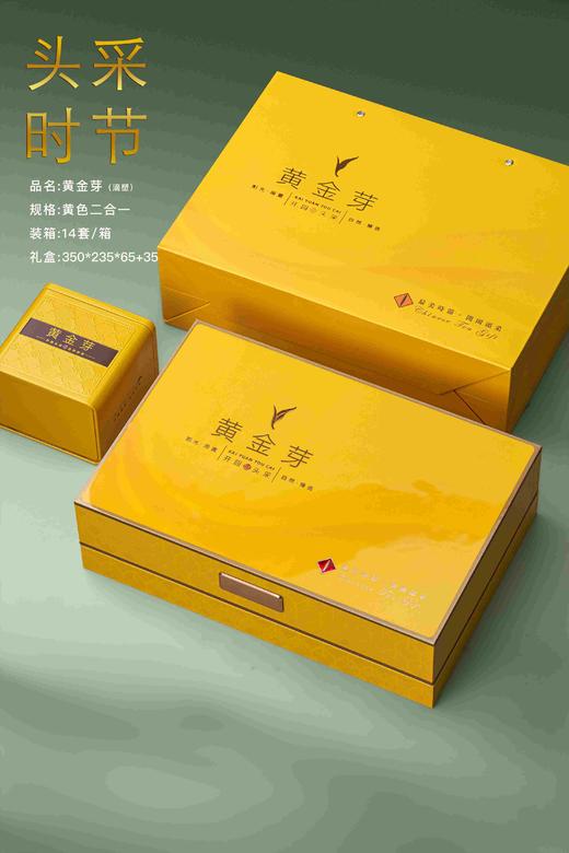 头采时节【黄•滴塑面.2方罐黄金芽】33元1套.整箱14套 商品图2
