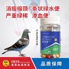 【球虫速灭净】胶囊60粒，拉绿便/血便（爱丽丝） 商品缩略图0