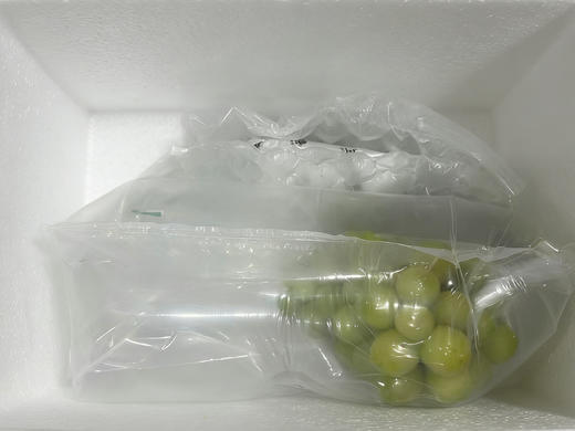 秘鲁秋天脆青提2斤装 商品图5