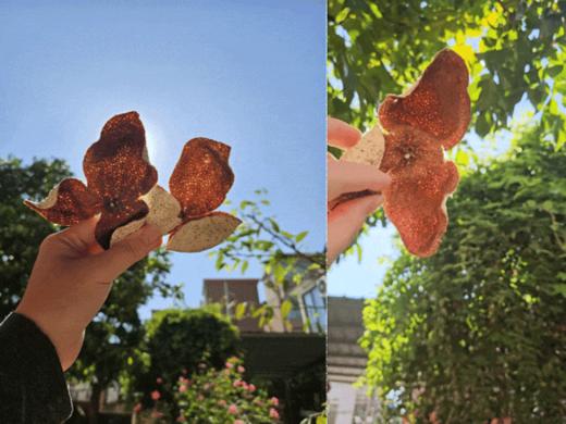 【新皮囤货】2025天马新会陈皮 ，正宗天马村新皮，用口粮价囤“核心产地”好皮【G】 商品图7