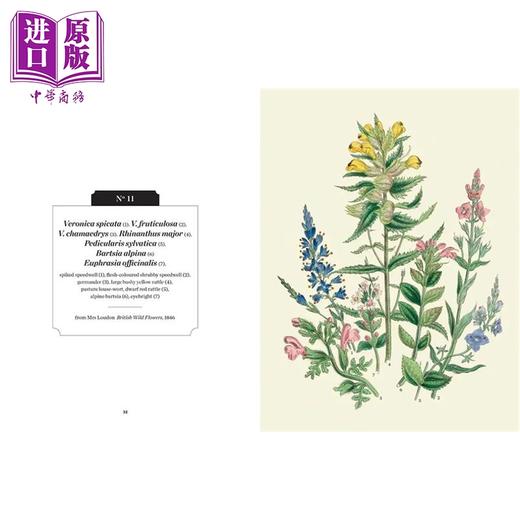 预售 【中商原版】野花 英国皇家植物园口袋书系 Kew Pocketbooks Wildflowers 英文原版 Ed Ikin Royal Botanic Gardens 邱园自然百科 商品图2