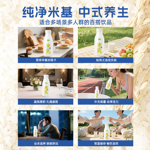 袁谷原味米乳330ml*8瓶无麸质易吸收米乳儿童早餐奶健康植物饮料 商品图3