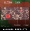 伊朗四千年(精) 6种文明 18个朝代 一本书读懂伊朗霍昌·纳哈万迪等著伊朗五百年 商品缩略图3