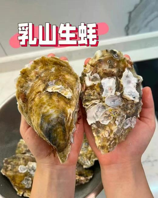 周二取货：【匠心级乳山生蚝(中大蚝）】一箱净重约2.5斤左右（约8-10只）24小时标准净化，又肥又鲜 商品图1