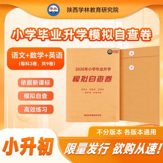 2026年小学毕业升学【小升初】模拟自查卷（语文+数学+英语）通用版 商品图0