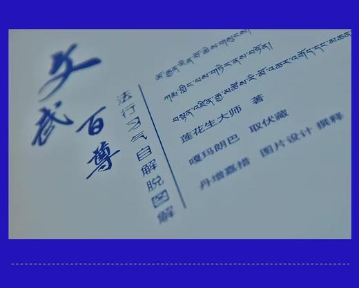 文武百尊fa行习气自解脱图解唐卡 莲花生 丹增嘉措 商品图2
