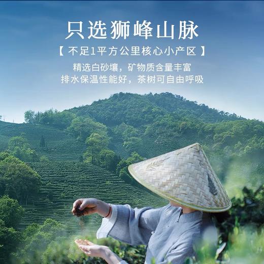 【2026年新茶现货】狮峰丨大观礼盒 西湖龙井 绿茶 明前精品级 100g 商品图3