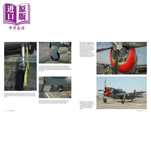 预售 【中商原版】P 47 雷电 战斗机 英文原版 P 47 Thunderbolt Republics Mighty Jug in World War II David Doyle 商品图2