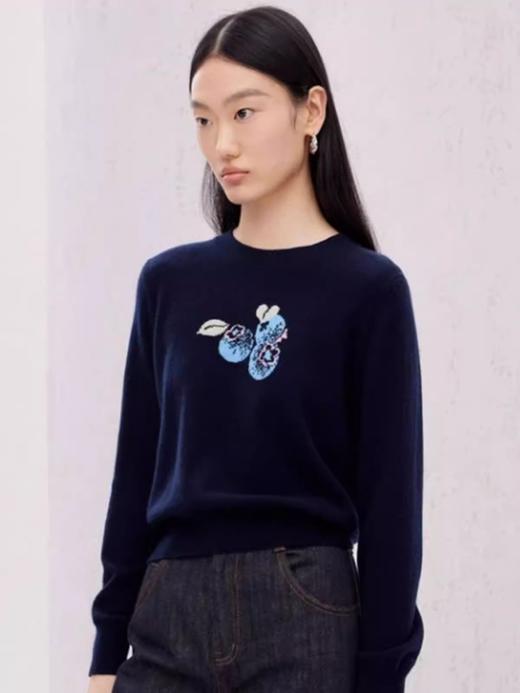 鄂*蓝莓刺绣藏蓝开衫/套头衫 商品图7