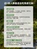 【新品】霍山石斛冻干粉7罐*6盒 商品缩略图3