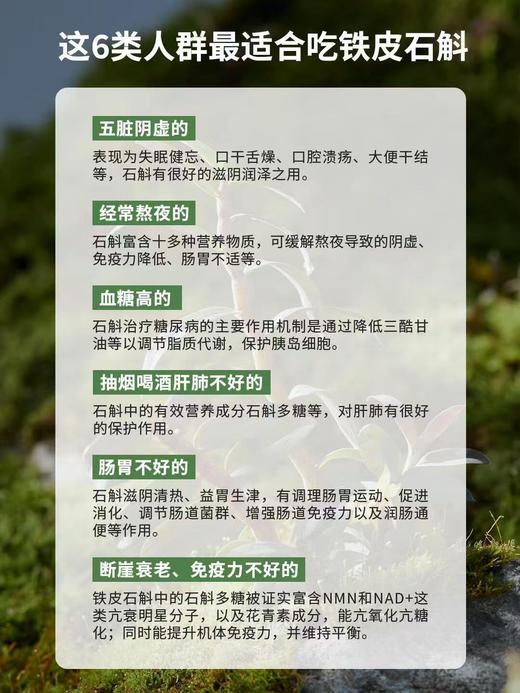 【新品】霍山石斛冻干粉7罐*6盒 商品图3