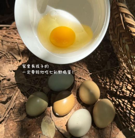 周三取货：【七彩山鸡蛋】特惠：18.8元/盒，一盒10只，微量元素高，营养丰富。 商品图0