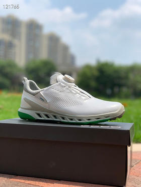 外贸原单爱步高尔夫球鞋男士golf无钉鞋BOA锁扣 免糸带 健步透氧牦牛皮球鞋
码数:39 40 41 42 43 44 (标准皮鞋码)