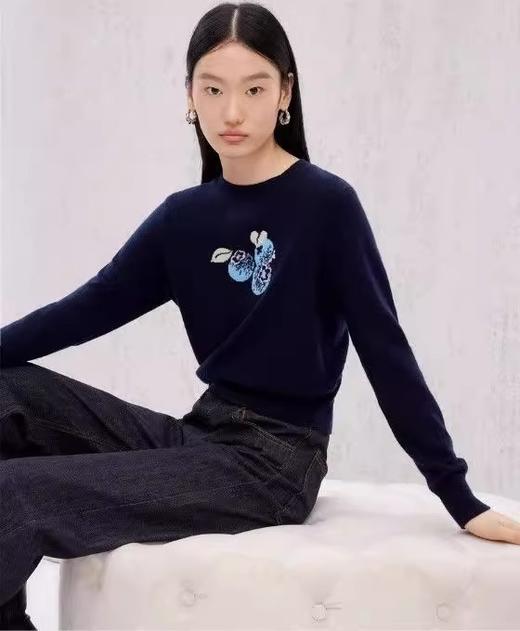 鄂*蓝莓刺绣藏蓝开衫/套头衫 商品图8