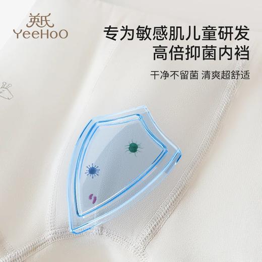 【5A&7A抑菌4条装】英氏男女童纯棉平角内裤 商品图4